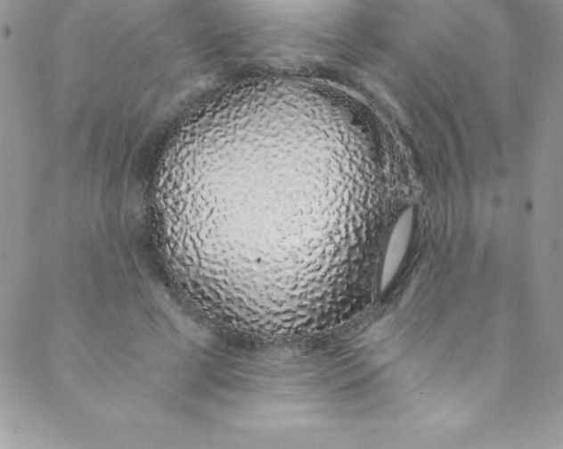 X0000088840593200707051449