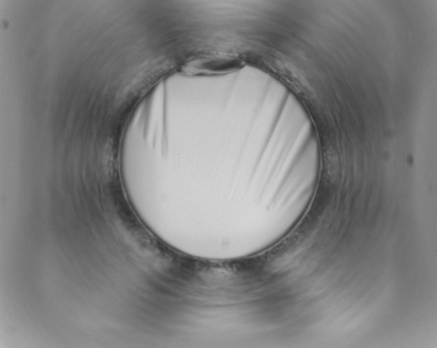 X0000088840594200707051449