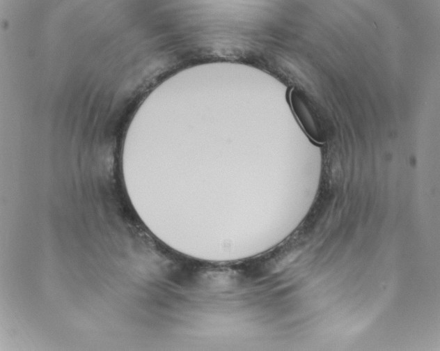 X0000088840595200707051449