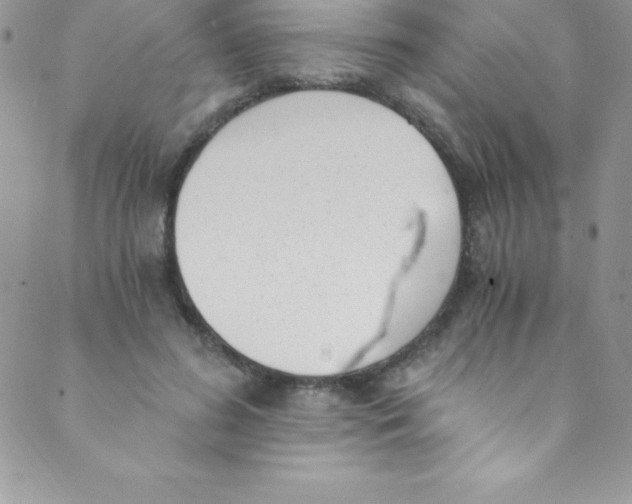 X0000088840596200707051449