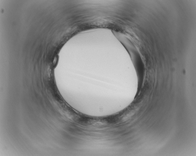 X0000088840597200707051449