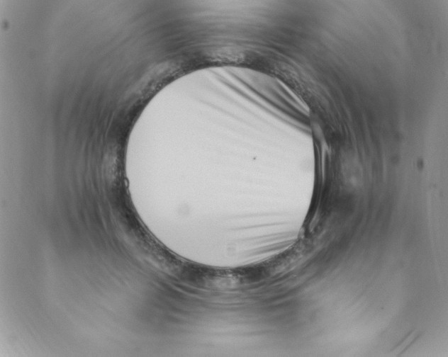 X0000088840600200707051449