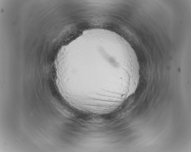 X0000088840601200707051449