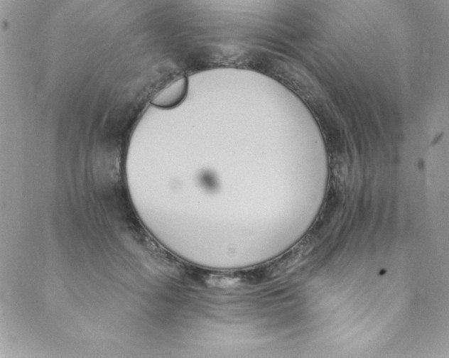 X0000088840602200707051449