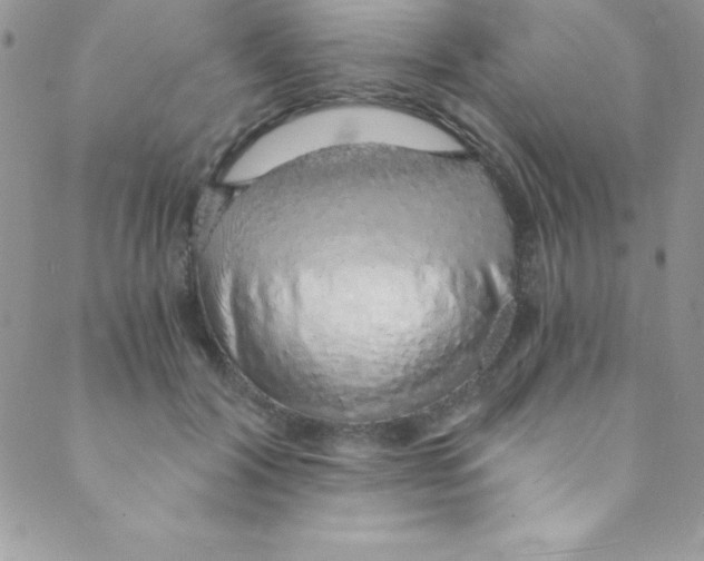 X0000088840604200707051449