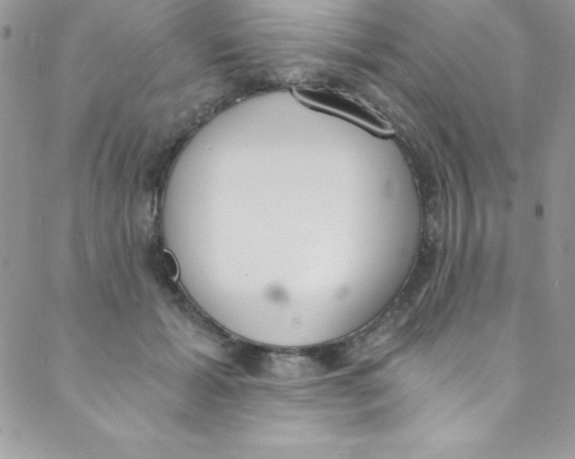 X0000088840605200707051449