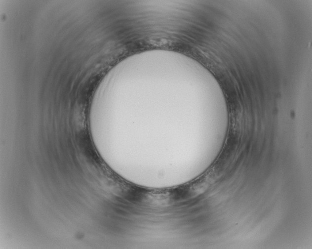 X0000088840606200707051449