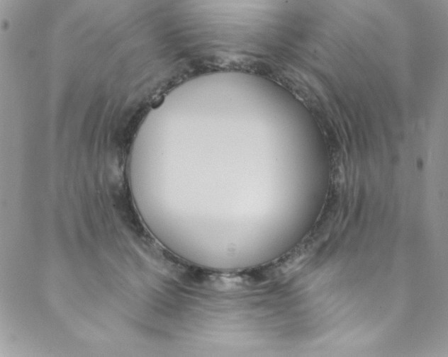 X0000088840607200707051449