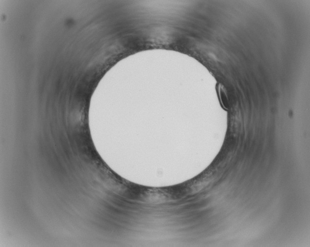 X0000088840608200707051449