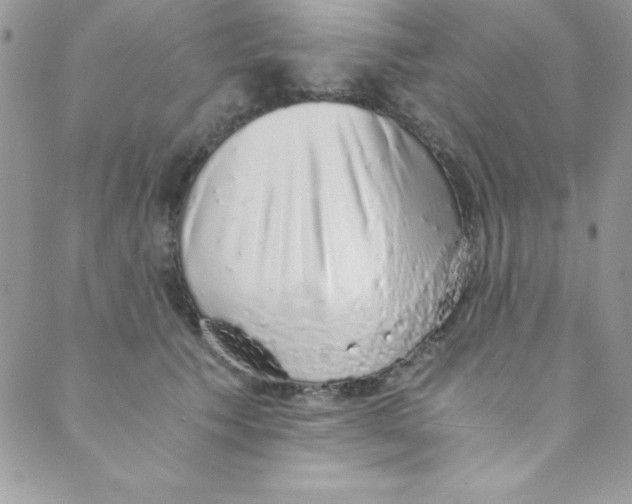 X0000088840609200707051449