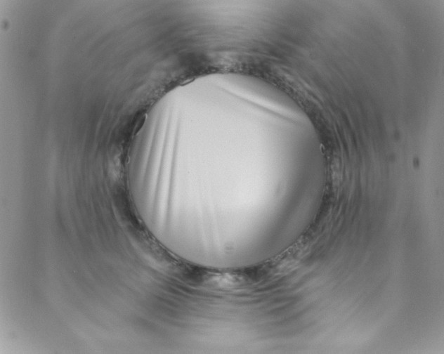 X0000088840611200707051449