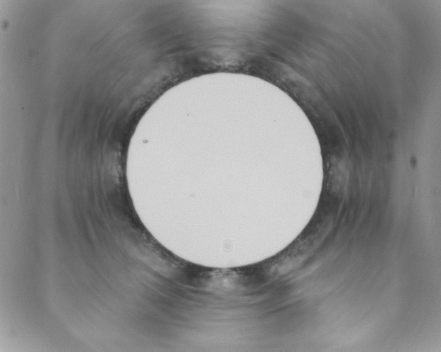 X0000088840612200707051449