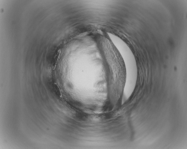 X0000088840613200707051449