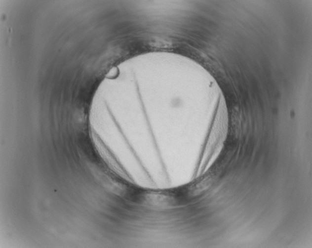 X0000088840614200707051449