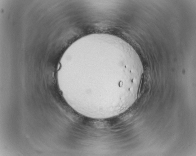 X0000088840615200707051449