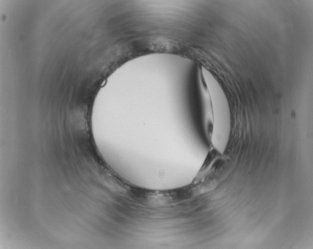 X0000088840616200707051449