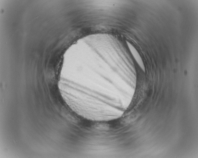 X0000088840617200707051449