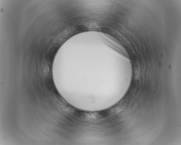 X0000088840618200707051449