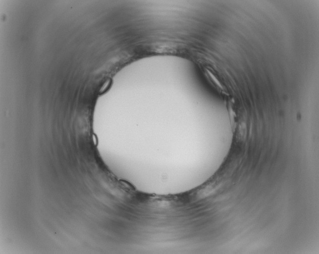 X0000088840620200707051449