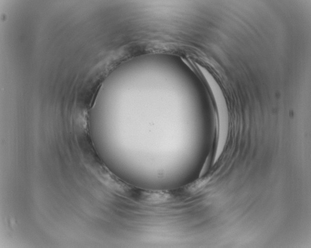 X0000088840621200707051449