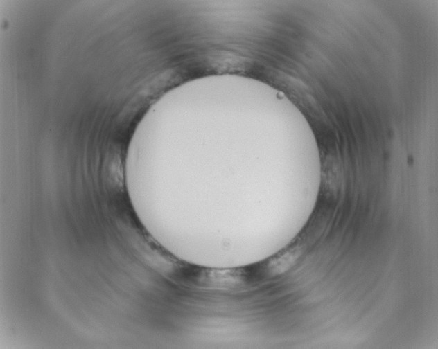 X0000088840622200707051449