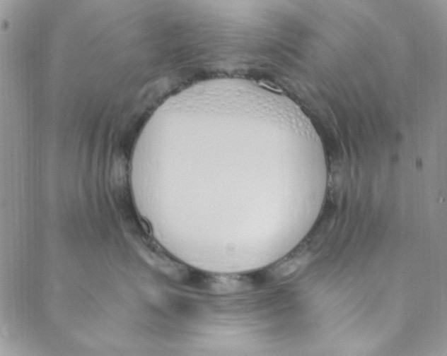 X0000088840623200707051449