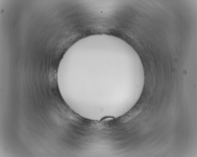 X0000088840624200707051449