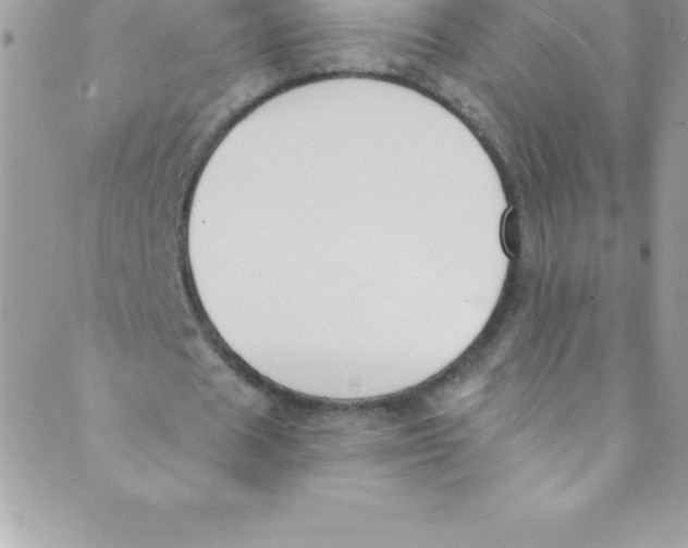 X0000088840625200707051448