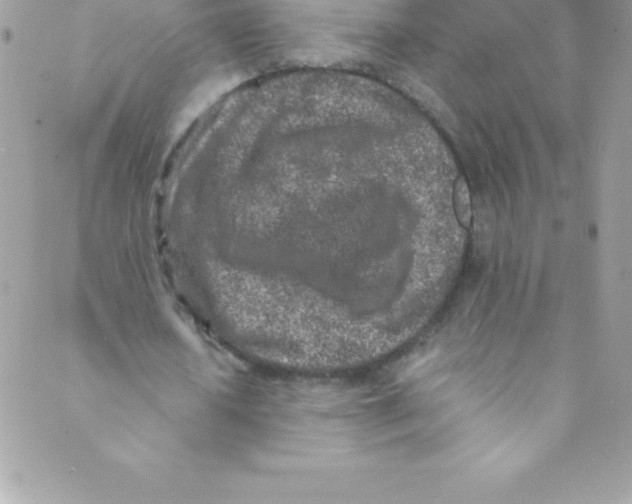 X0000088840626200707051448