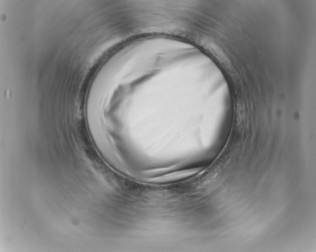 X0000088840628200707051448