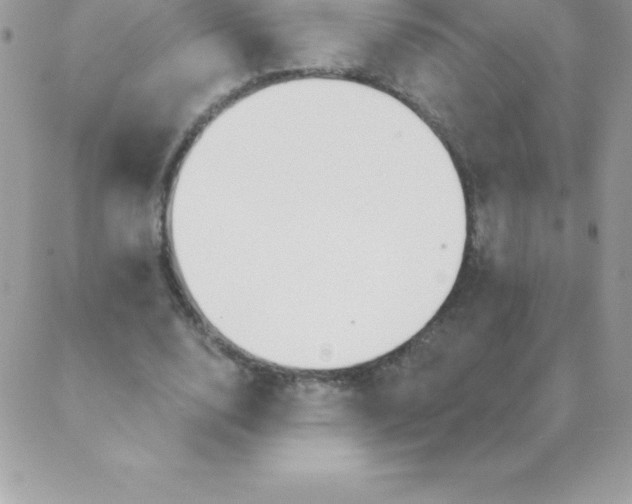 X0000088840632200707051448