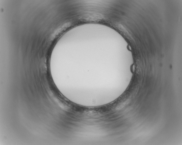 X0000088840634200707051448