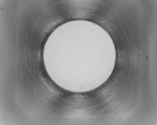 X0000088840636200707051448