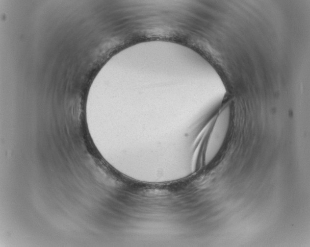 X0000088840637200707051448