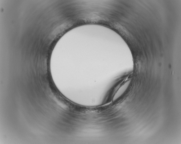 X0000088840638200707051448