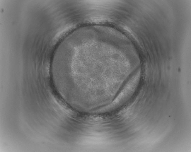 X0000088840640200707051448