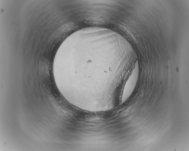 X0000088840643200707051448