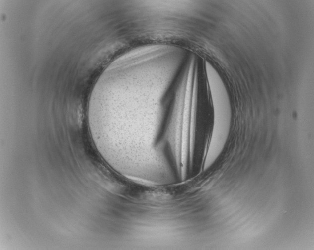 X0000088840644200707051448