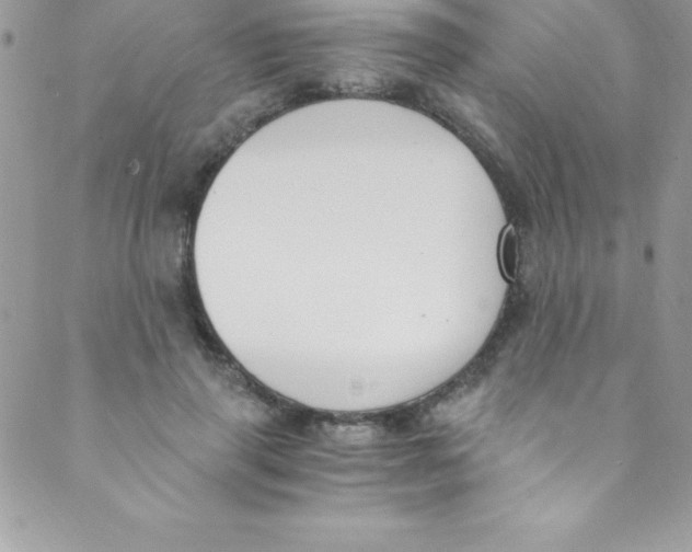 X0000088840645200707051448