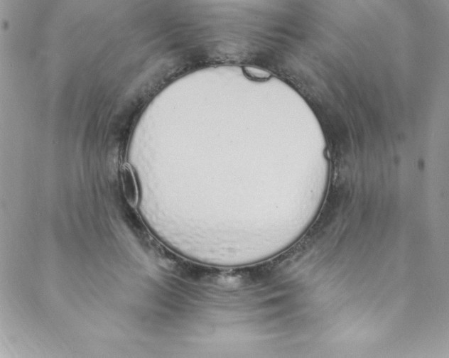 X0000088840647200707051448