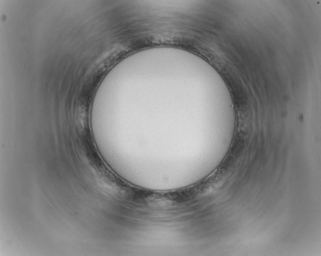 X0000088840648200707051448