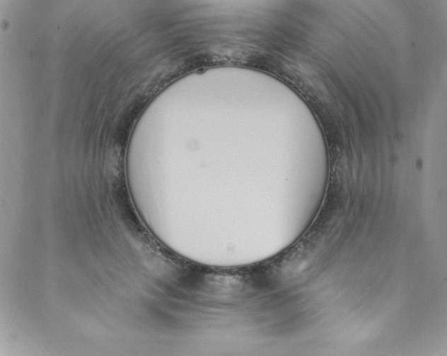 X0000088840649200707051449