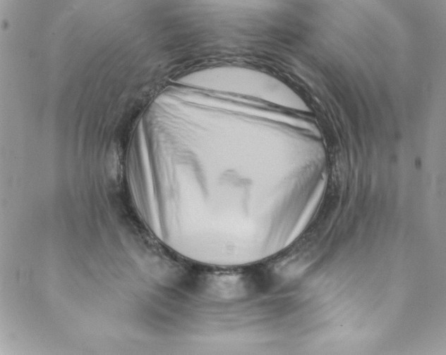 X0000088840651200707051449