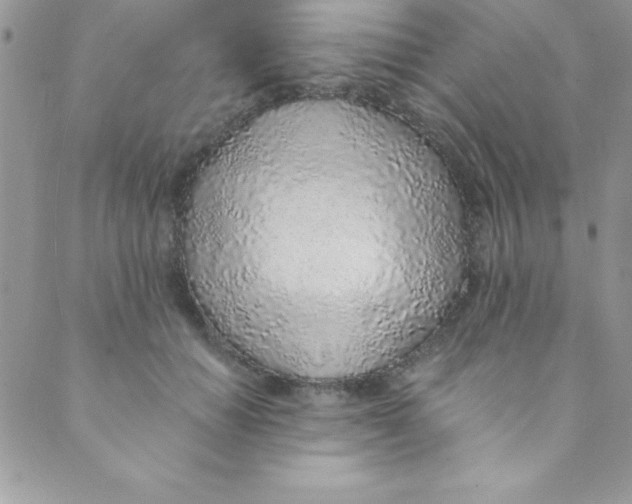 X0000088840654200707051449