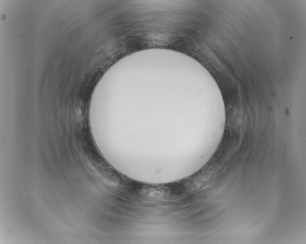 X0000088840655200707051449