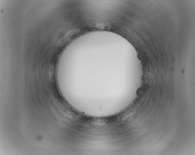 X0000088840656200707051449