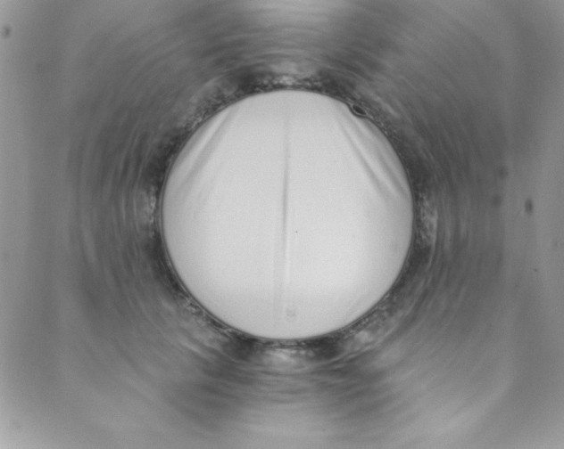 X0000088840657200707051449