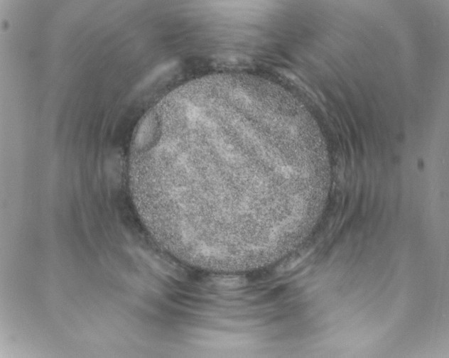 X0000088840659200707051449