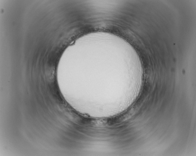 X0000088840660200707051449