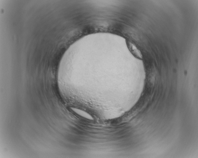 X0000088840661200707051449